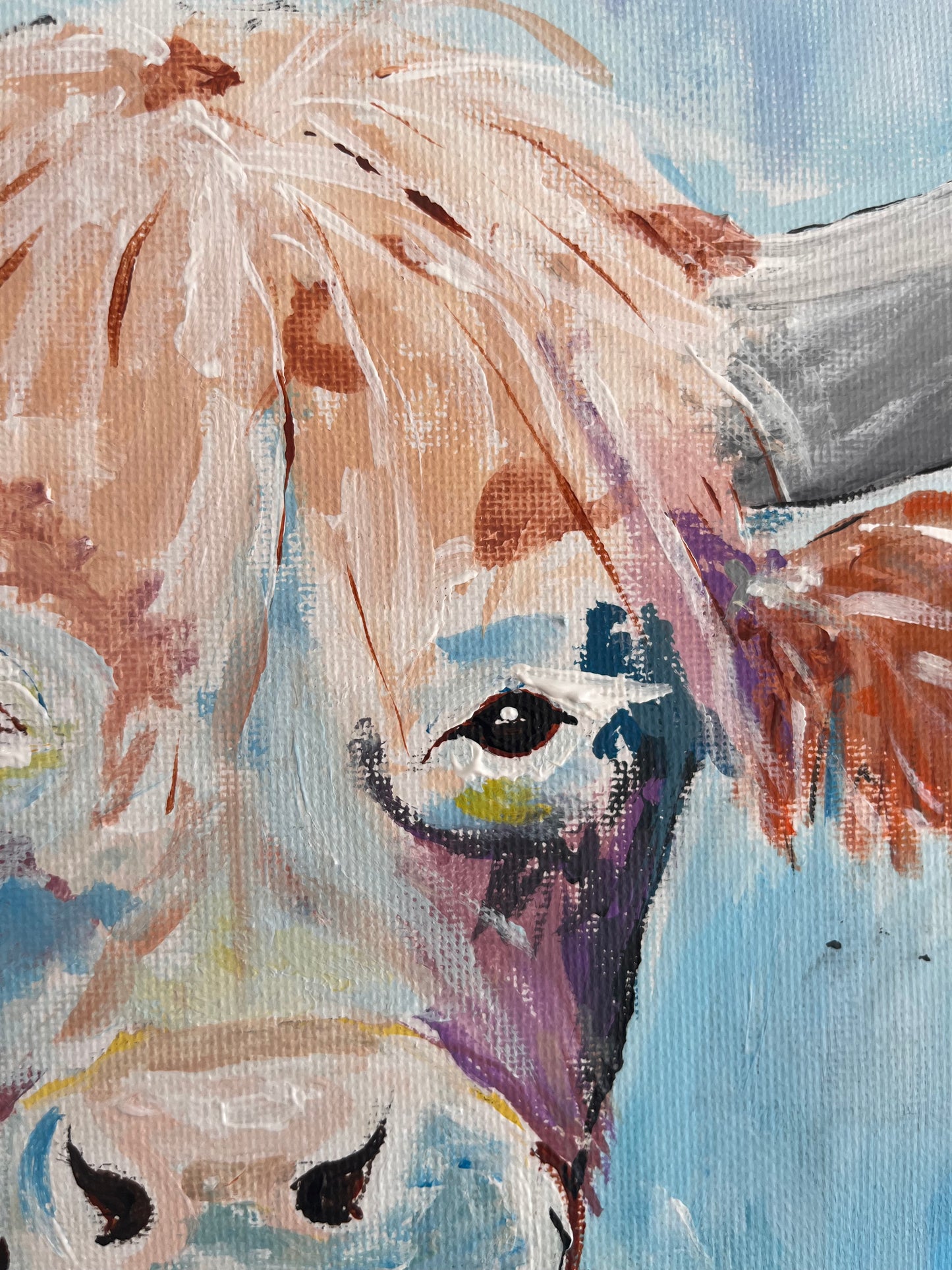 2 SPOTS LEFT | Highland Cow Paint & Sip Torquay | Saturday 29th August, 2:30pm-4:30pm
